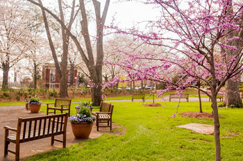 Hotel The Of Georgia Center For Continuing Education & Athens